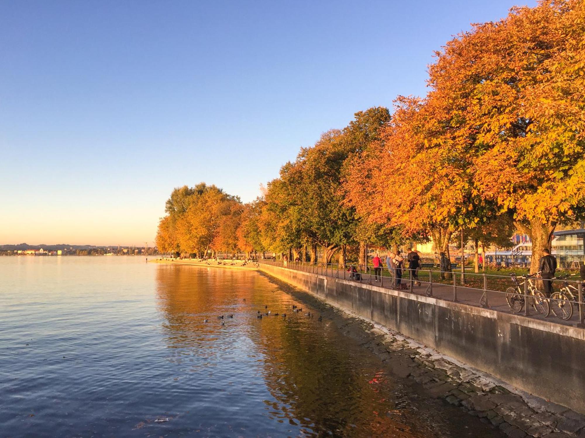 Seeblick Bregenz - Mit Parkgarage Exterior foto